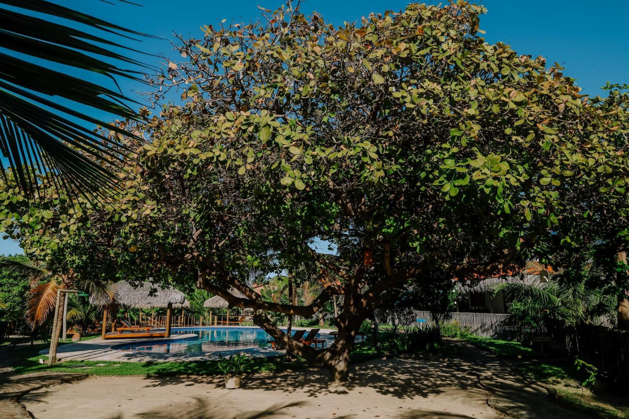 Casas Capulana Holiday home